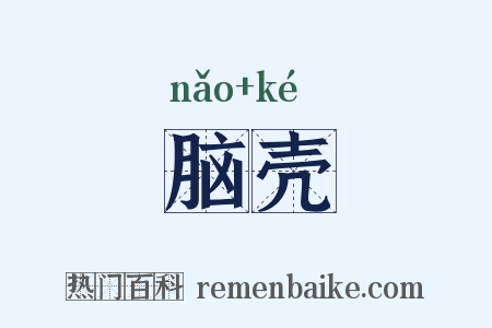 脑壳是什么意思的图片